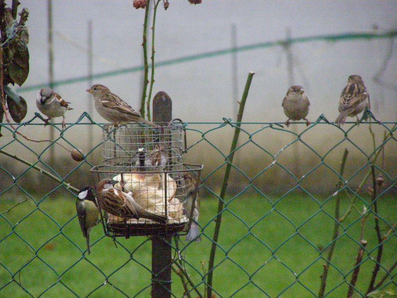 Parfois (Pierre Morhange)