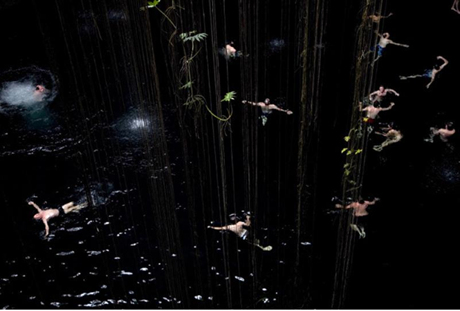 iGAVEL : La photographie aux enchères Francine Fleischer, SinkSwim (3487), 2010 D5CF