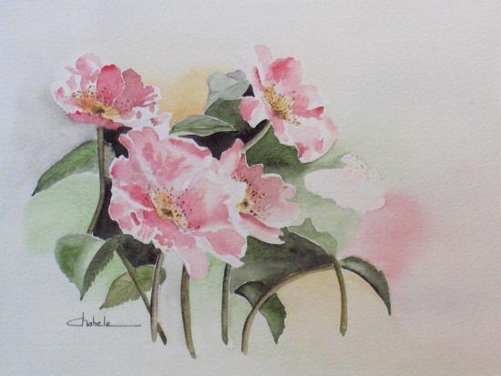 Ces marées d’équinoxe (Bernard Montini)