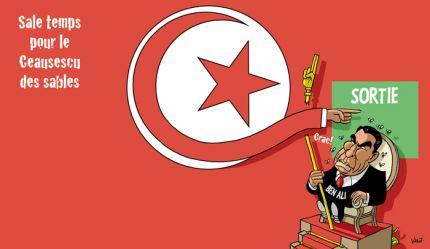 Florilège des caricatures de la révolution en Tunisie et en Egypte