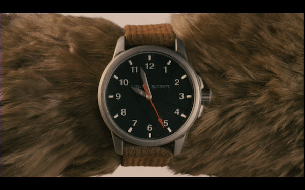 Fantastic Mr. Fox (2009)