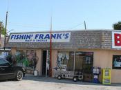 Photos gros poissons/big fish photos.