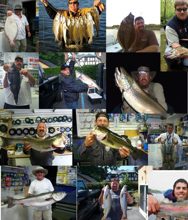 PHOTOS DE GROS POISSONS/BIG FISH PHOTOS.