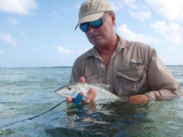 PHOTOS DE GROS POISSONS/BIG FISH PHOTOS.