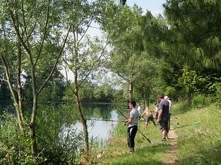 déclaration sociétaires 