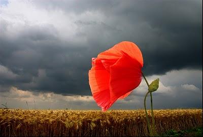 Ce lundi parmi tant d'autres