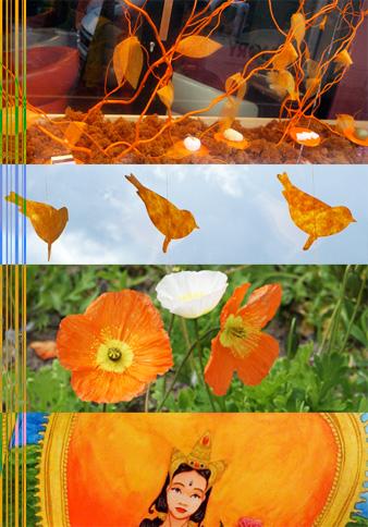 challenge nuancier couleur orange