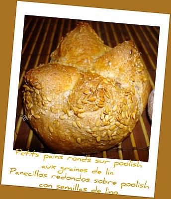 Petits pains ronds sur poolish aux graines de lin - Panecillos redondos sobre poolish con semillas de lino