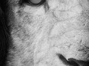 Sélection Darqroom Pixfan