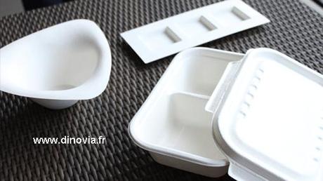 assiette design canne a sucre assiette design canne a sucre