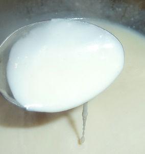 bechamel