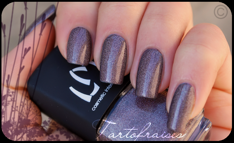 http://tartofraises.nailblogs.net/vernis/LM/holo/lm_3dbrown_6.png