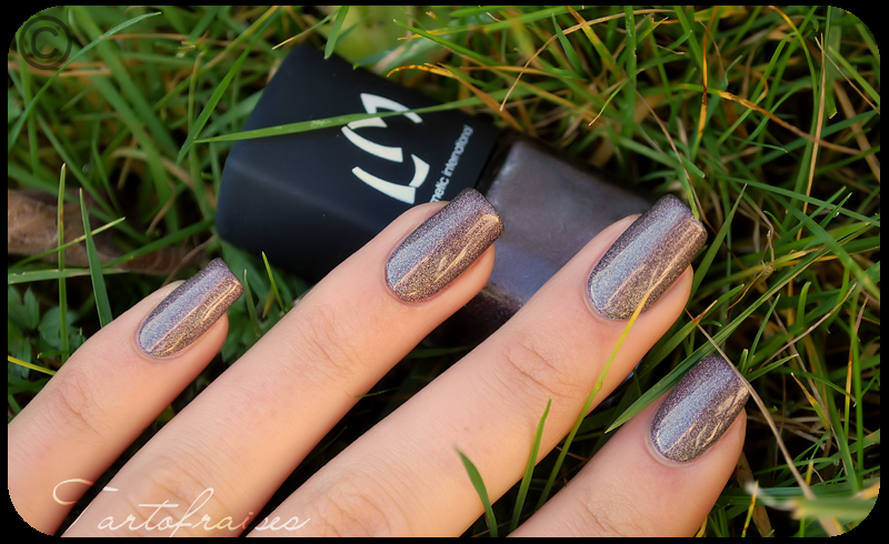 http://tartofraises.nailblogs.net/vernis/LM/holo/lm_3dbrown_7.png