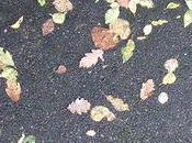 Nous sommes parfaits déjà