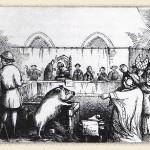 Les procès faits aux animaux