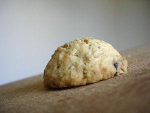 cantal_cookies1