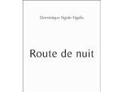Route nuit, Dominique Ngoïe-Ngalla