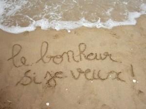 Bonheur national brut