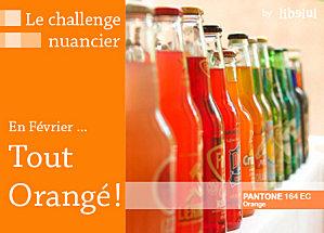 201102-challenge-nuancier-orange-2-by-libelul.jpg
