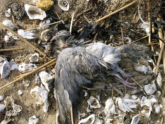 jeudi on se lâche mais gentiment comme il se doit