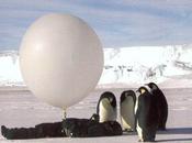 Soirée évasion Antarctique Terre Adèlie vendredi mars 2011