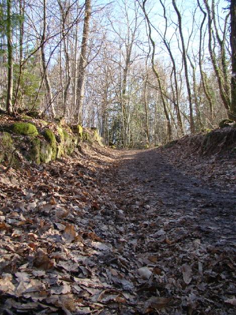 Les châteaux du Haut-Andlau et du Spesbourg