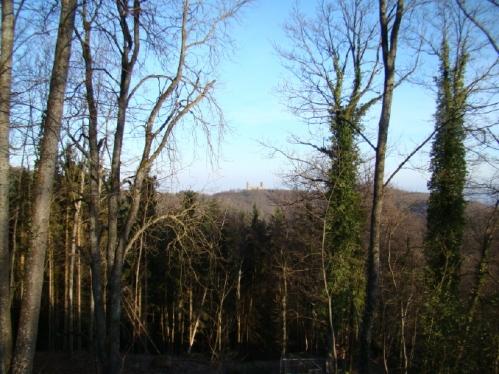 Les châteaux du Haut-Andlau et du Spesbourg