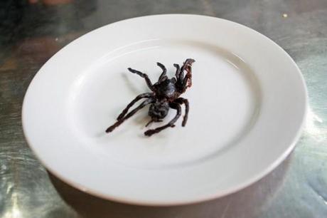 ©oryza - Tarentule grillée Tarentules grillées sauce citron et poivre de kampot