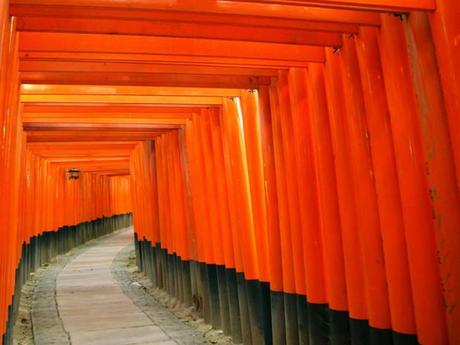 Une succession de torii au temple Fushimi Inari à Kyoto (Japon).