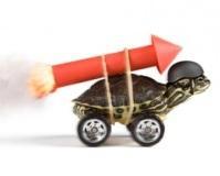 Le coup de coeur d'Alsagora : Start-me up dit la tortue