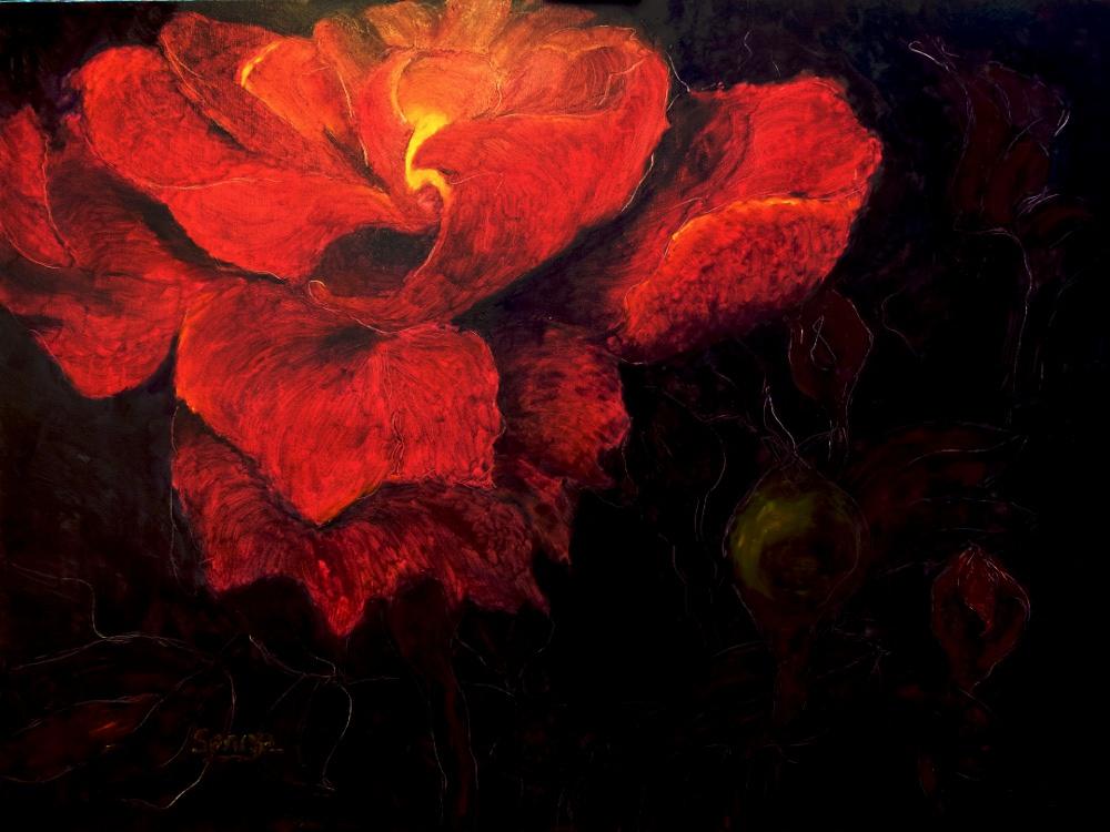 Rose, peinture de Serge Boisse