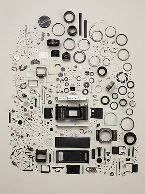 TODD MCLELLAN