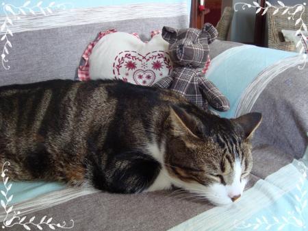 11 février 2011, Pirate et son nounours....