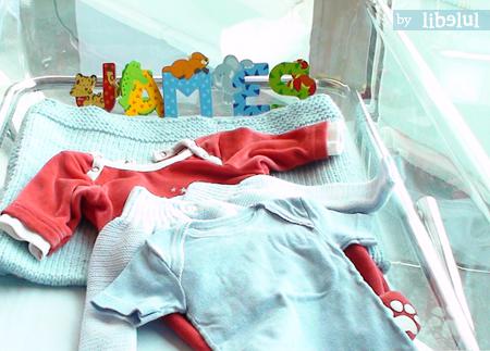 Libelul et la naissance de James