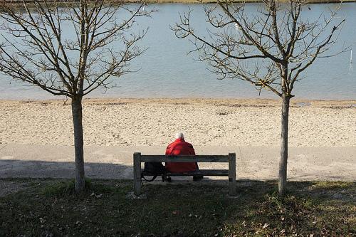 Un et demi. Chasseur d’oiseaux. Au téléobjectif. Soupire...