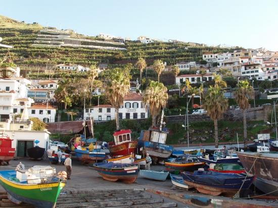 Port de Camara de Lobos