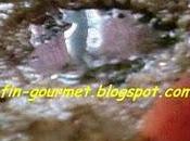 salade d'aubergines poivrons verts