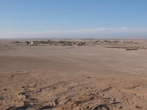 Le livre du jour - Chiens féraux de Felipe Becerra Calderón