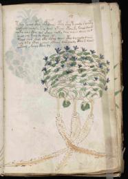 Le Manuscrit de Voynich, plus étrange livre au monde, enfin daté