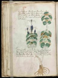 Le Manuscrit de Voynich, plus étrange livre au monde, enfin daté Le Manuscrit de Voynich, plus étrange livre au monde, enfin daté