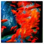 hipstamavalentin 150x150 Chapitre 246: Macarons Mon Amour