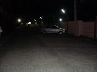 L'Os Introuvable et La Viande Cuisinée en Laboratoire