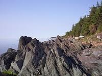 L'Os Introuvable et La Viande Cuisinée en Laboratoire L'Os Introuvable et La Viande Cuisinée en Laboratoire