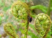 J’IRAI DEMAIN (Pierre Morhange)