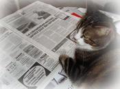 Pirate s'informe, février 2011