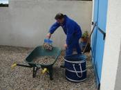 Nouvelle entrée garage, février 2011....