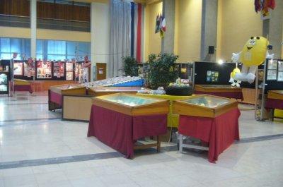 Les collectionneurs lommois font leur pub