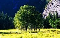 Un été dans la Sierra de John Muir,  Challenge 