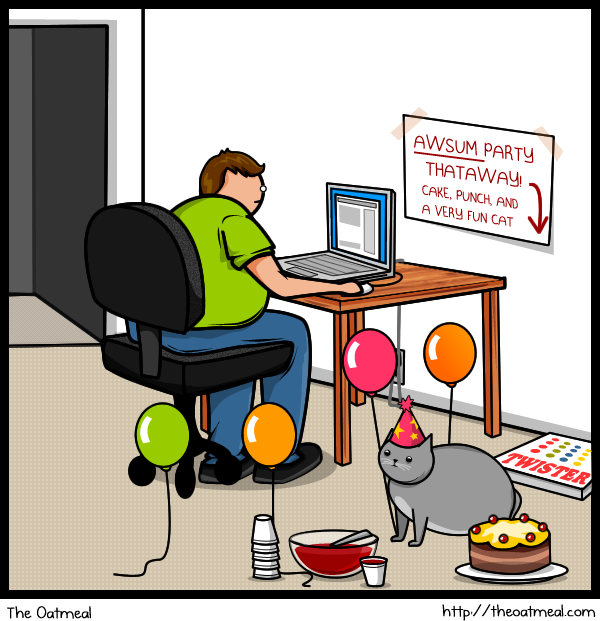 13 Cat vs Internet