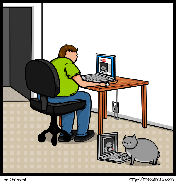 11 Cat vs Internet